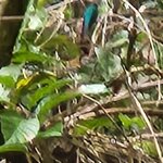 Photo taken by Esther B