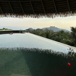 Photo taken by Randy H