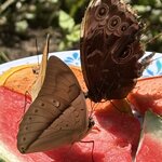 Photo taken by Bert B