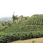 Photo taken by Marcia G