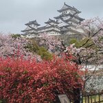 Photo taken by Hector R