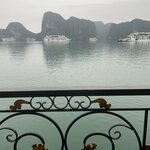 Photo taken by Lindy S