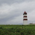 Photo taken by Prem P