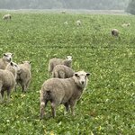 Photo taken by Jessee H