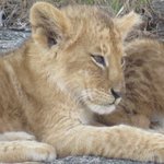 Photo taken by Kristin M