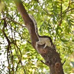 Photo taken by Graeme W