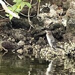 Photo taken by Sofia W