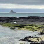 Photo taken by Maggie K