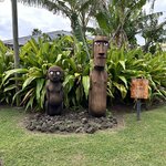 Photo taken by Courtney W