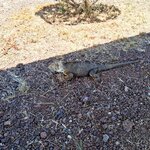 Photo taken by Elise C