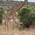 Photo taken by Gabrielle A