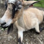 Photo taken by Robyn S