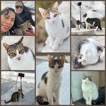 Photo taken by Melani P