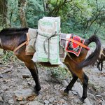 Photo taken by Cesar A