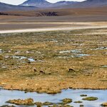 Photo taken by Ameet R