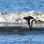 Photo taken by John O