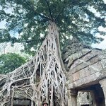 Photo taken by Ryan B