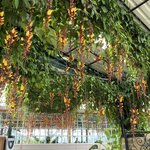 Photo taken by Siang O