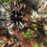 Photo taken by Stephanie A