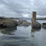 Photo taken by Lisa S