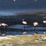 Photo taken by alton r