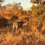 Photo taken by Tom B