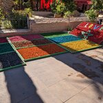 Photo taken by Hunter M