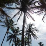 Photo taken by Brett F