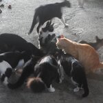 Photo taken by Jason P