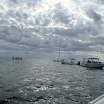 Photo taken by LaTasha J