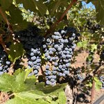 Photo taken by kirsten b