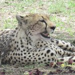 Photo taken by Kristin M