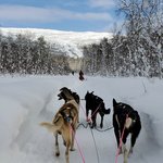 Photo taken by Ronnie B