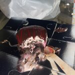 Photo taken by Shanna H