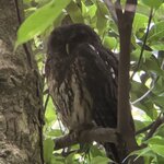 Photo taken by Peter B