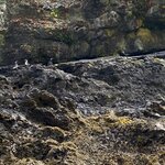 Photo taken by Mike C