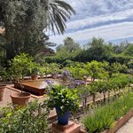 Photo taken by Beverly R