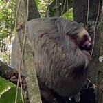 Photo taken by Roveen B