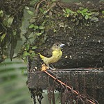 Photo taken by Marcia G