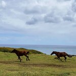 Photo taken by Raphael B