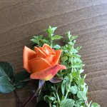 Photo taken by Liz S