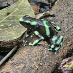 Photo taken by Touraj K