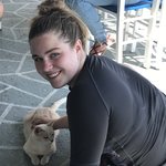 Kittt again  | Photo taken by Heidi C