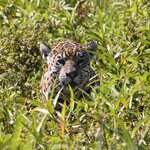 Photo taken by Kelvin V