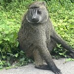 Photo taken by SHERI S