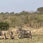 Photo taken by Joanne B