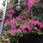 Photo taken by Marion M