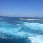 Photo taken by Stephanie T