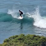 Photo taken by Dan J