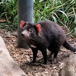 Photo taken by Kaitlin J